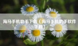 海马手机助手下载（海马手机助手软件下载）