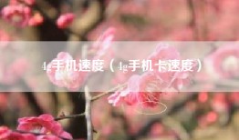 4g手机速度（4g手机卡速度）