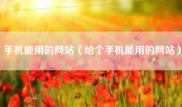 手机能用的网站（给个手机能用的网站）