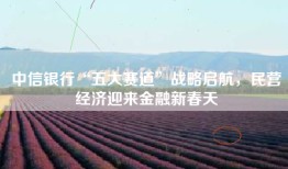 中信银行“五大赛道”战略启航，民营经济迎来金融新春天