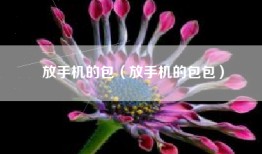 放手机的包（放手机的包包）