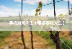 手机游戏人生（手游游戏人生）