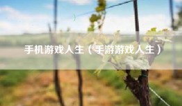 手机游戏人生（手游游戏人生）