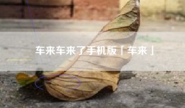 车来车来了手机版「车来」