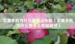 苹果手机为什么连不上电脑（苹果手机为什么连不上电脑蓝牙）