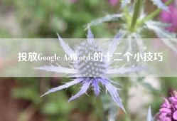 投放Google AdWords的十二个小技巧