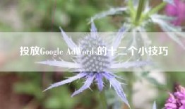 投放Google AdWords的十二个小技巧