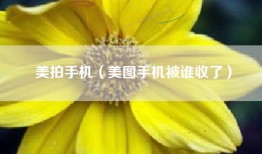 美拍手机（美图手机被谁收了）
