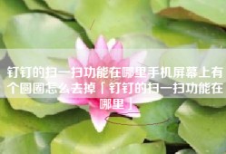 钉钉的扫一扫功能在哪里手机屏幕上有个圆圈怎么去掉「钉钉的扫一扫功能在哪里」
