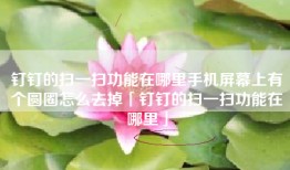 钉钉的扫一扫功能在哪里手机屏幕上有个圆圈怎么去掉「钉钉的扫一扫功能在哪里」