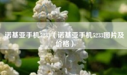 诺基亚手机5233（诺基亚手机5233图片及价格）