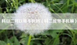科目二可以带手机吗（科二能带手机嘛）