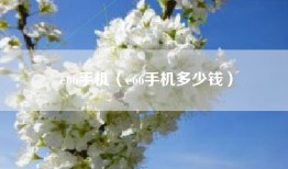 e66手机（e66手机多少钱）