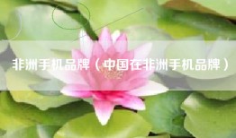 非洲手机品牌（中国在非洲手机品牌）