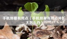 手机屏幕有斑点（手机屏幕有斑点并扩大怎么办）