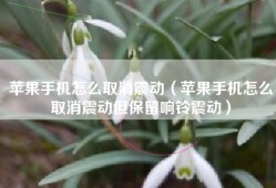 苹果手机怎么取消震动（苹果手机怎么取消震动但保留响铃震动）