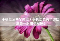 手机怎么两个微信（手机怎么两个微信屏幕一起用小程序）
