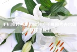 手机图片去水印软件（手机图片去水印软件下载）