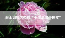 衡水湖景区荣获“十佳品牌景区奖”
