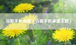 谷歌手机桌面（谷歌手机桌面主题）