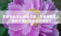 苹果手机怎么查找位置（苹果手机怎么查找位置轨迹有地图显示）