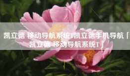 凯立德 移动导航系统T凯立德手机导航「凯立德 移动导航系统T」
