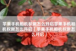 苹果手机相机权限怎么开启苹果手机相机权限怎么开启「苹果手机相机权限怎么开启」