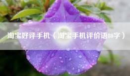 淘宝好评手机（淘宝手机评价语80字）