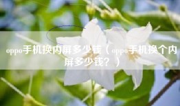 oppo手机换内屏多少钱（oppo手机换个内屏多少钱？）
