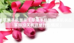 苹果手机显示（苹果手机显示关机状态实际没关机这是什么情况）