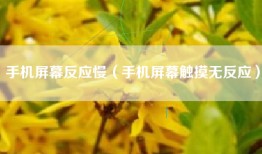 手机屏幕反应慢（手机屏幕触摸无反应）