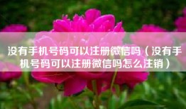 没有手机号码可以注册微信吗（没有手机号码可以注册微信吗怎么注销）
