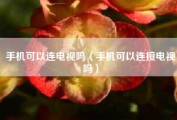 手机可以连电视吗（手机可以连接电视吗）