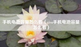 手机电池容量怎么看（vivo手机电池容量怎么看）