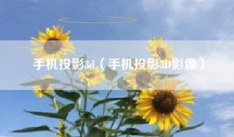 手机投影3d（手机投影3D影像）