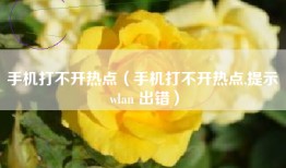 手机打不开热点（手机打不开热点,提示 wlan 出错）