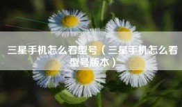 三星手机怎么看型号（三星手机怎么看型号版本）