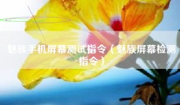 魅族手机屏幕测试指令（魅族屏幕检测指令）