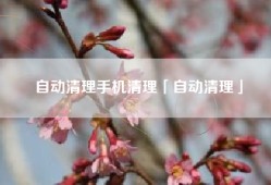 自动清理手机清理「自动清理」
