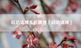 自动清理手机清理「自动清理」