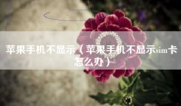 苹果手机不显示（苹果手机不显示sim卡怎么办）