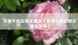 苹果手机在哪买便宜（苹果手机在哪买便宜很多）