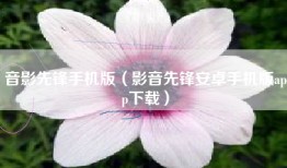 音影先锋手机版（影音先锋安卓手机版app下载）