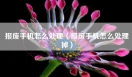 报废手机怎么处理（报废手机怎么处理掉）