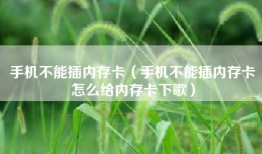 手机不能插内存卡（手机不能插内存卡怎么给内存卡下歌）