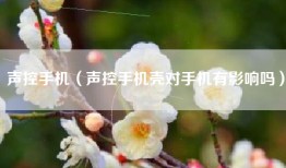 声控手机（声控手机壳对手机有影响吗）