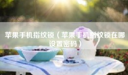 苹果手机指纹锁（苹果手机指纹锁在哪设置密码）