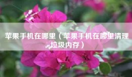 苹果手机在哪里（苹果手机在哪里清理垃圾内存）