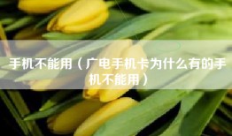 手机不能用（广电手机卡为什么有的手机不能用）