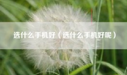 选什么手机好（选什么手机好呢）